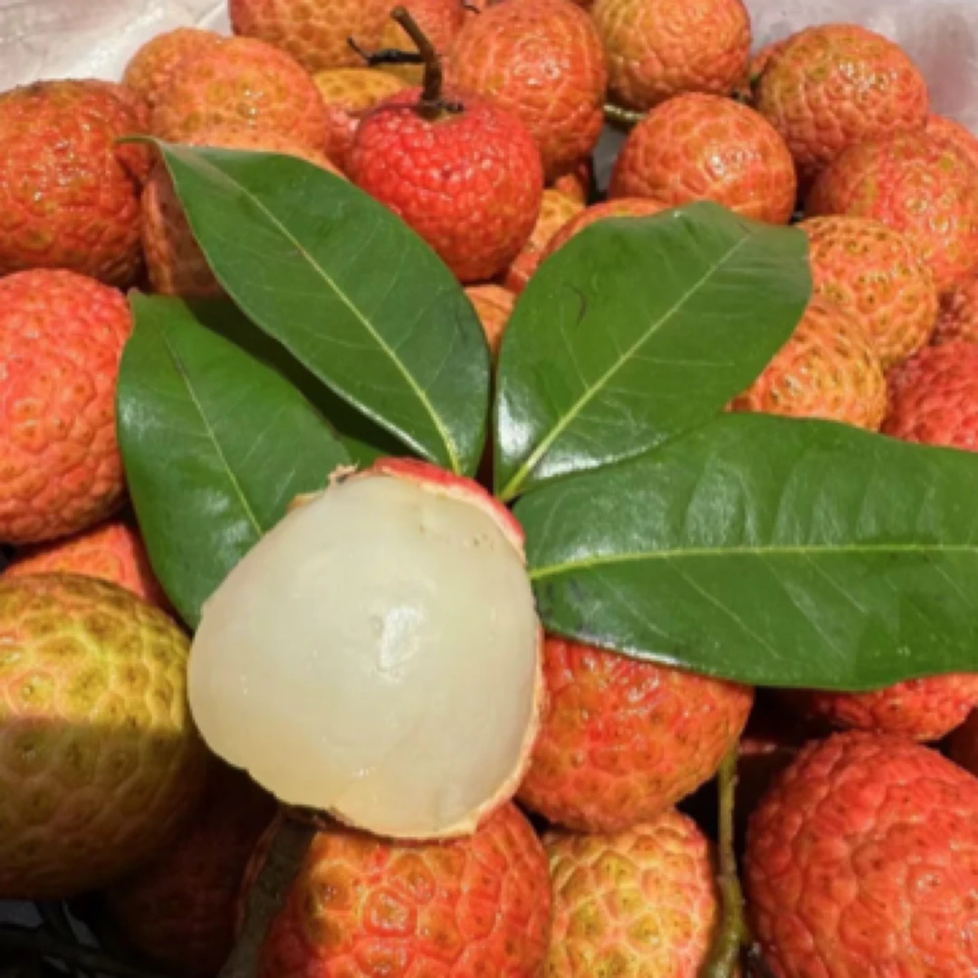 海南白糖罂荔枝400g海南省