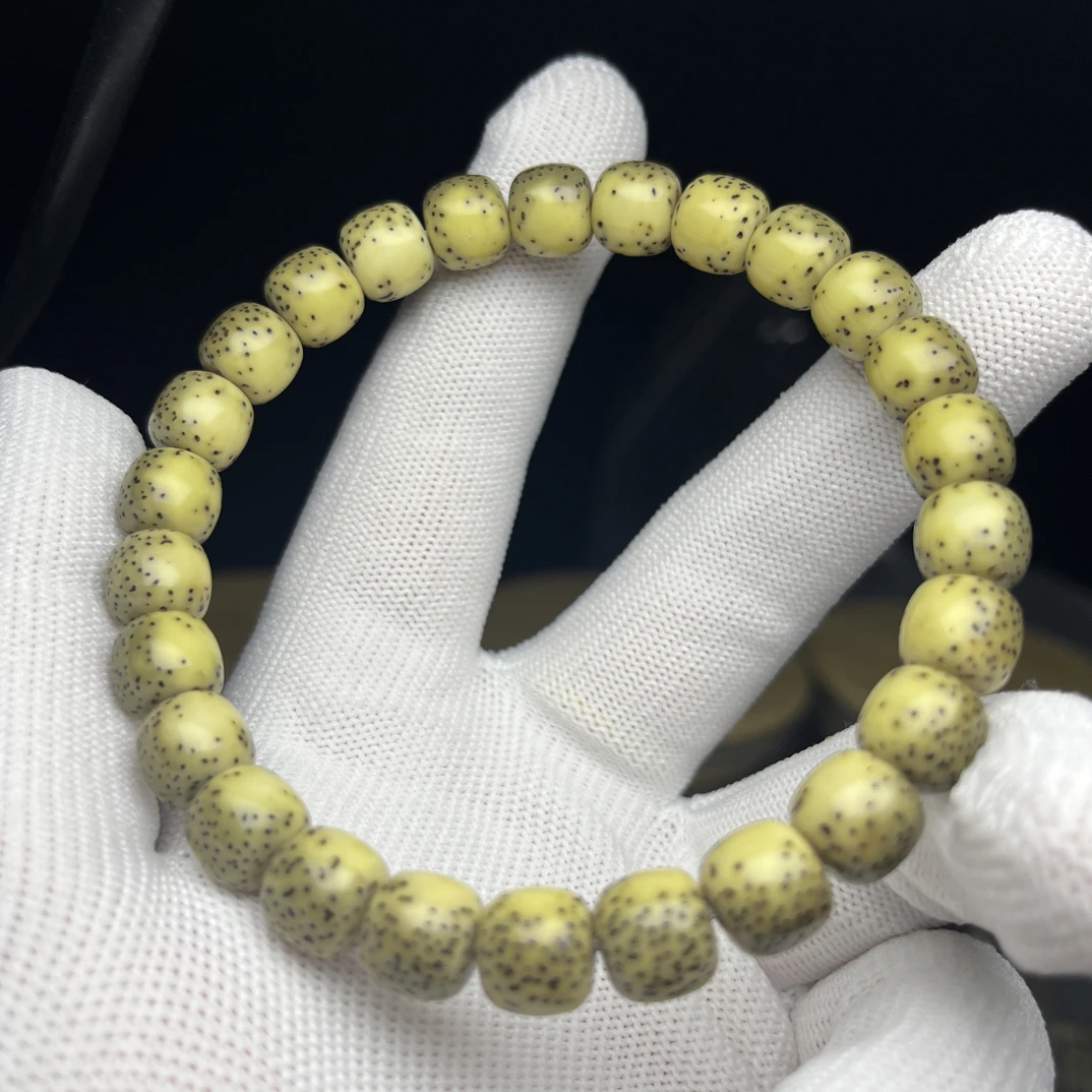 9✖️8绿背河豚分界明显