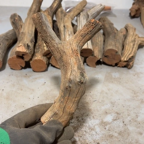 大果紫檀（缅甸花梨）夏*