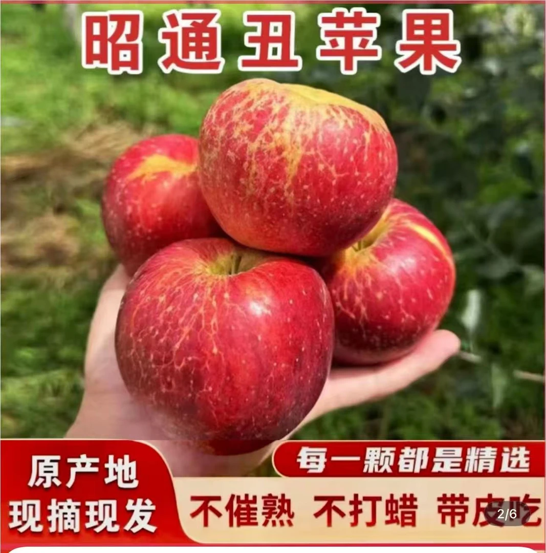 云南昭通头茬冰糖心丑苹果脆甜多汁现摘现发整箱3/5/10斤坏果包赔