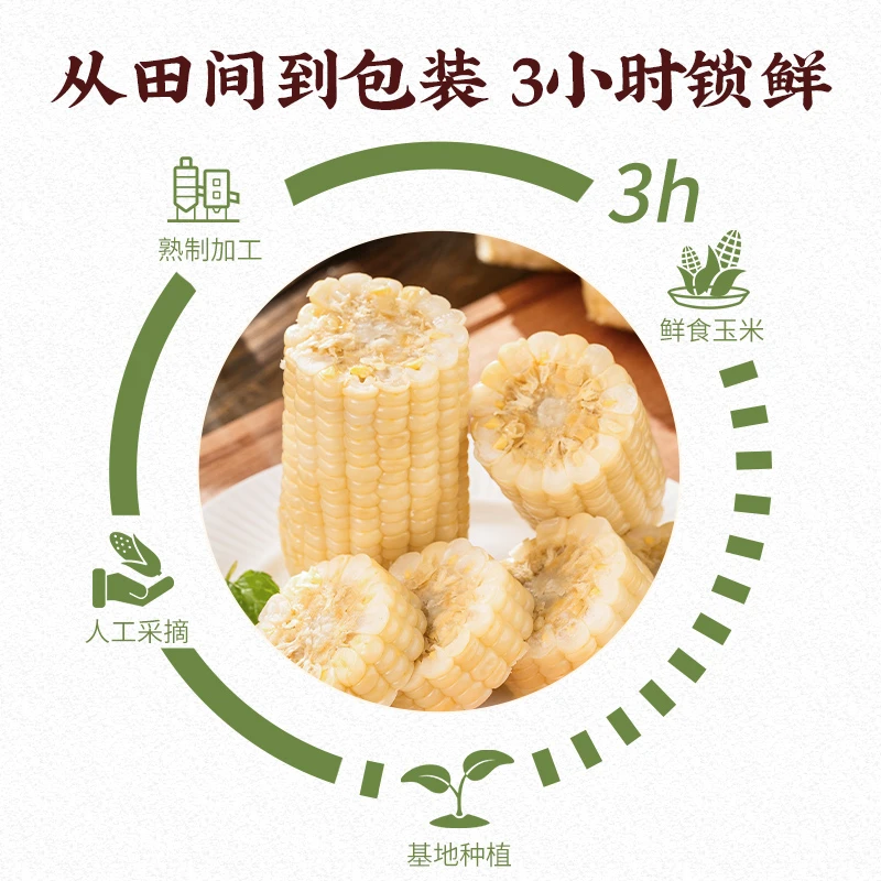 公立屯 白玉米甜加糯大棒8根装七分糯粒三分甜粒25年头茬