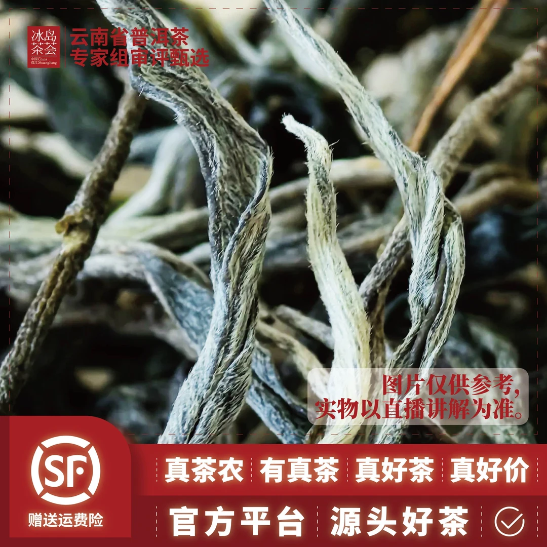 编码22-4/2023年同化九六晒青茶-散茶