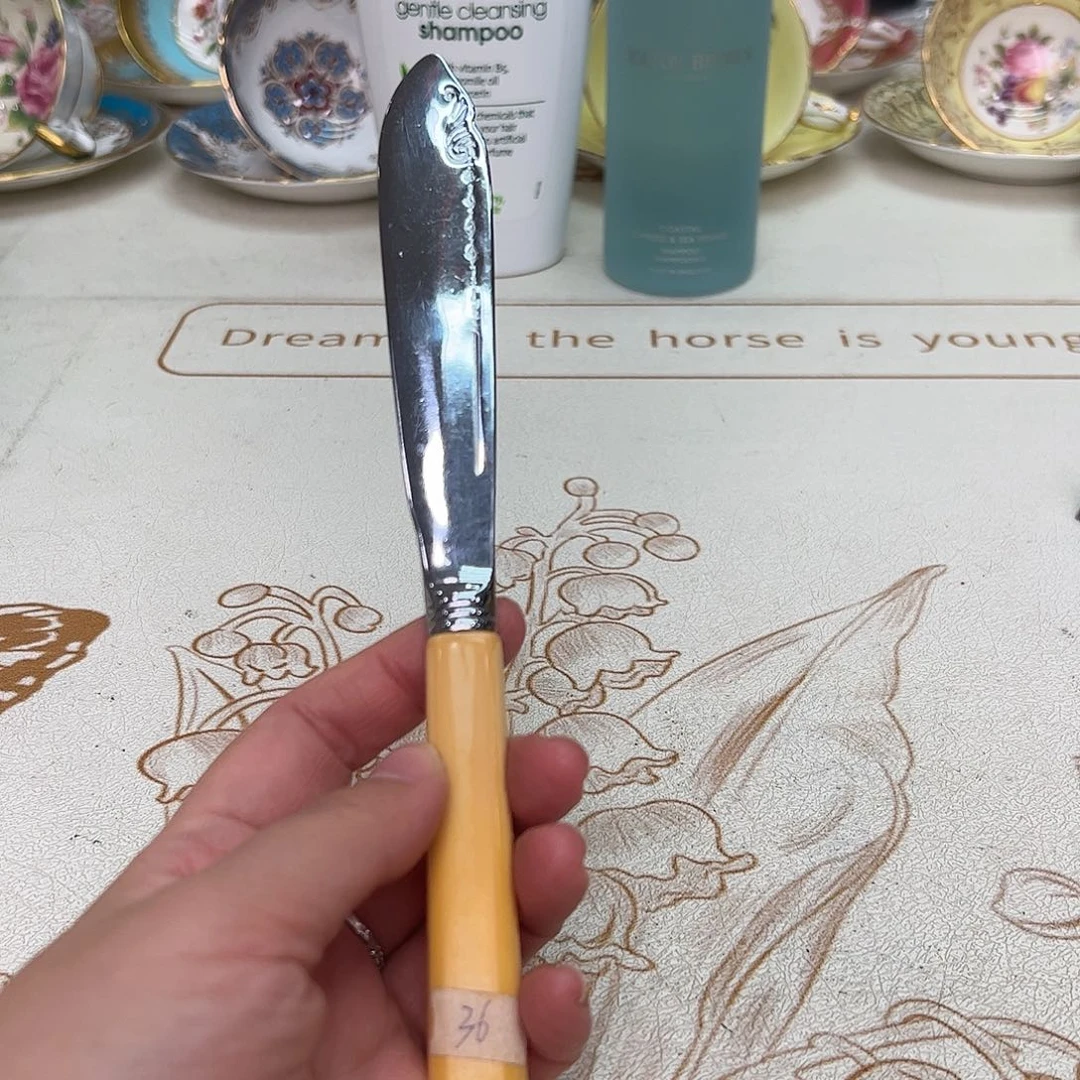 盘维多利亚欧洲中古