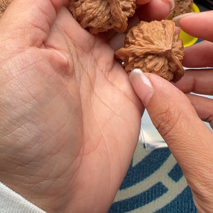 核桃文玩核桃三棱