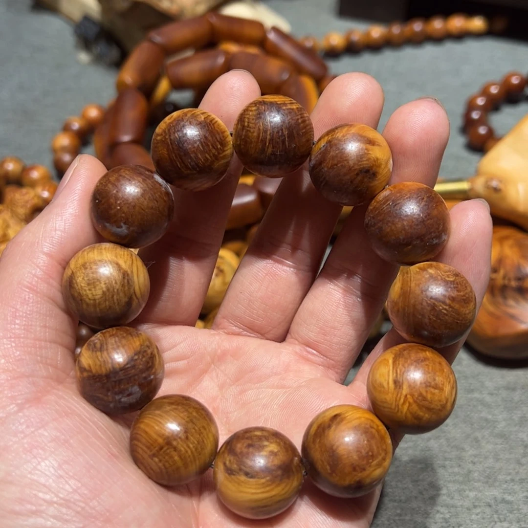 太行崖柏陈化太行