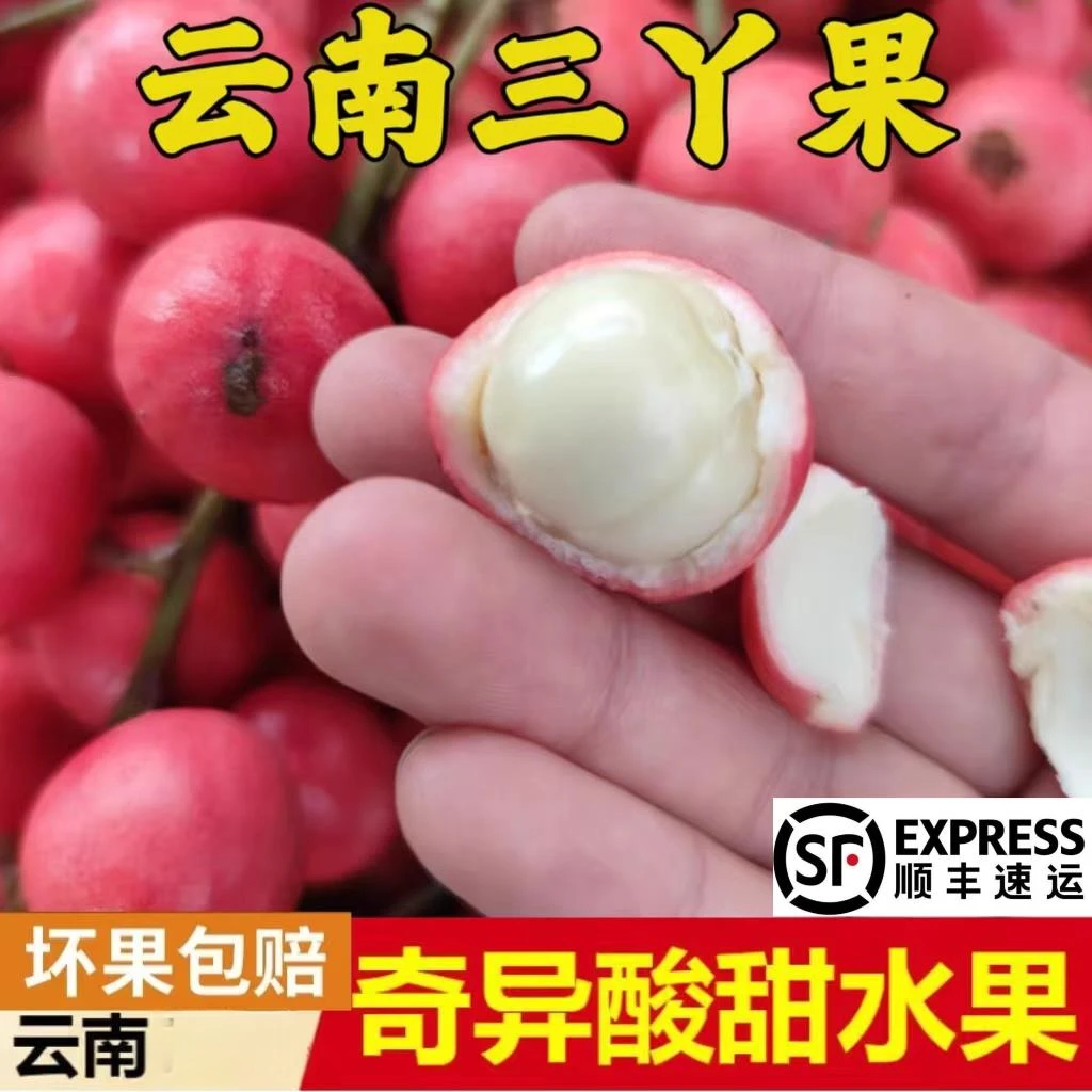 三丫果木奶果稀有罕见水果现摘当季云南野果非龙宫果现摘顺丰包邮