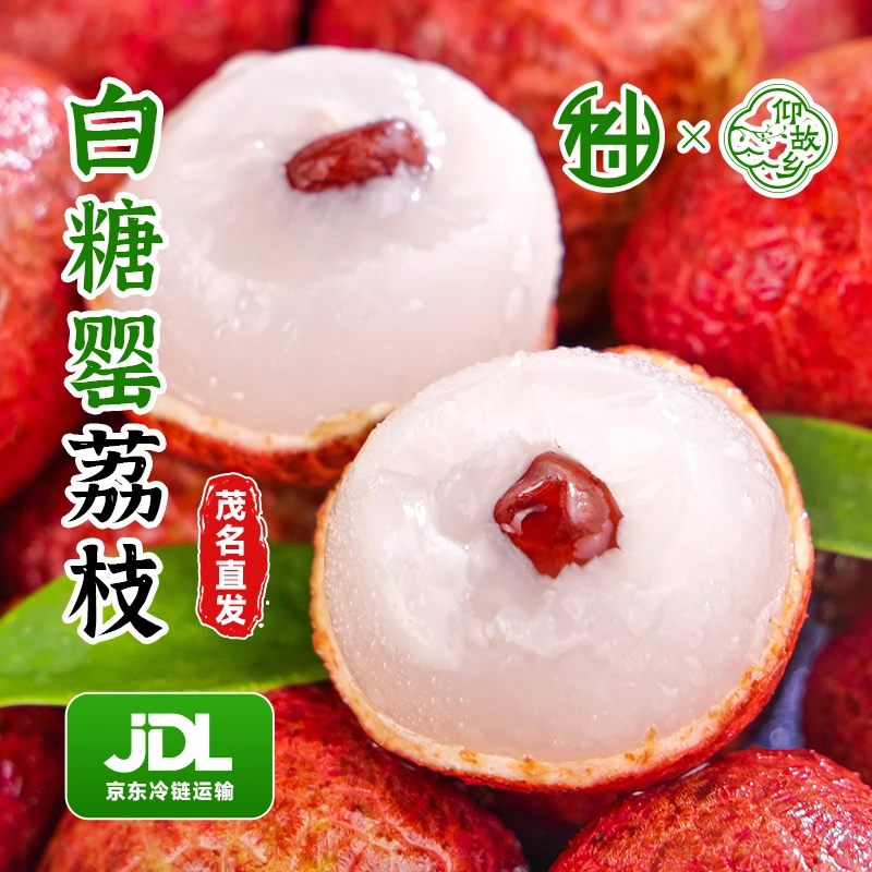 【顺丰京东冷链】广东茂名高州现摘白糖婴头茬不泡水荔枝爆甜3/5斤C