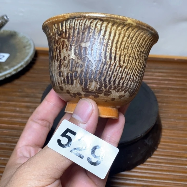 瓷片啦啦啦啦啦529