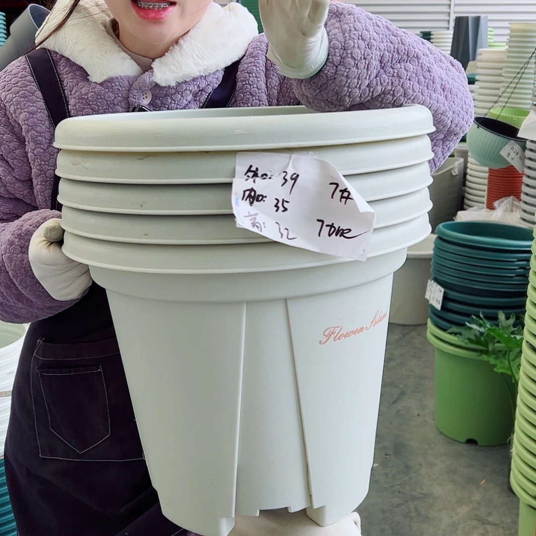 青山盆7#米5个无托