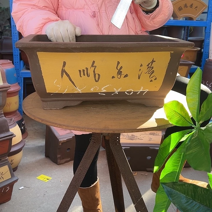 40黄马槽花盆花盆
