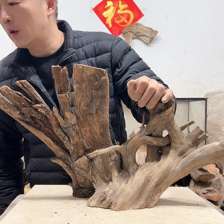 柏木山*工我们都是好孩子啊哈