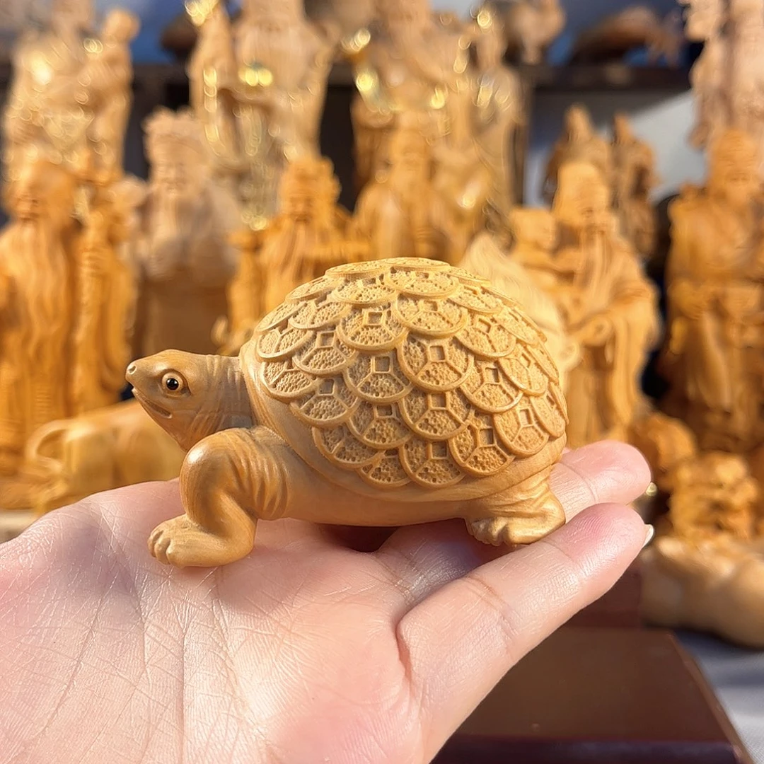 黄杨木小叶黄杨金钱龟