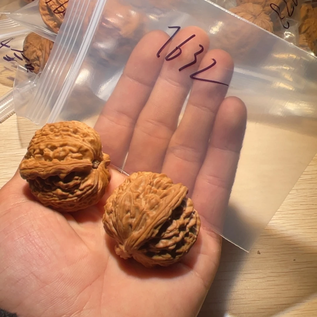 核桃手串/手链7632