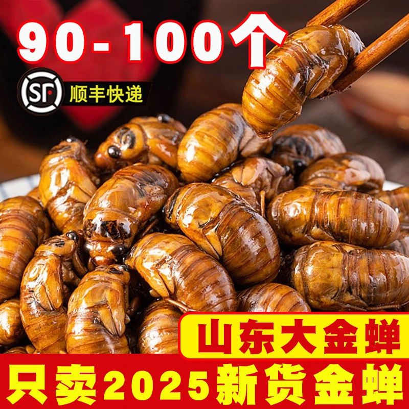 知了猴金蝉新鲜特产2025活虫鲜活冷冻大爬叉猴结了龟非蚕蝉蛹生鲜