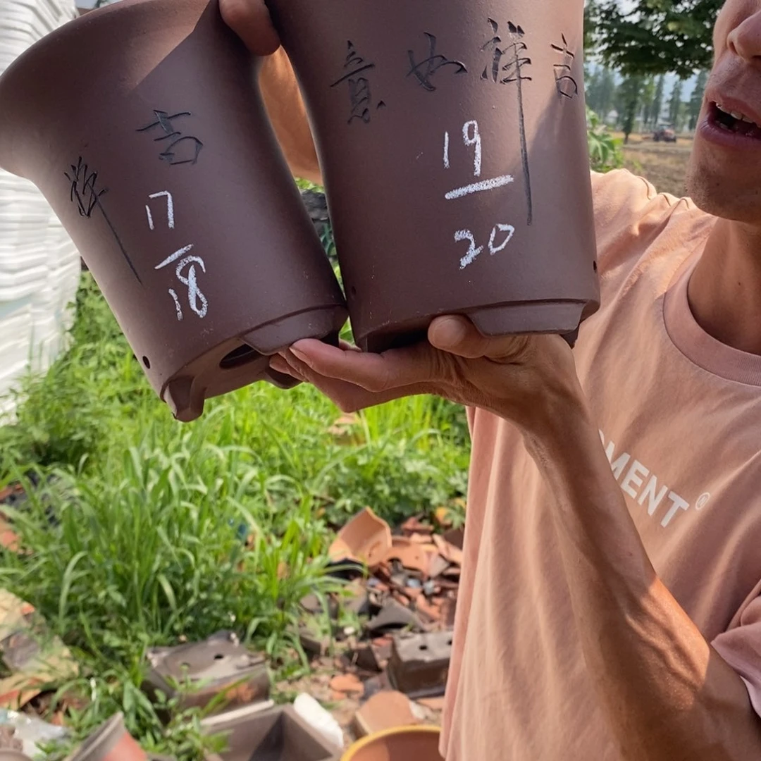 紫砂花盆紫砂壶的时候