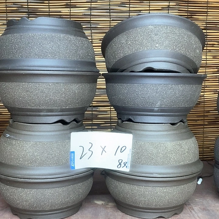 紫砂花盆我在外面