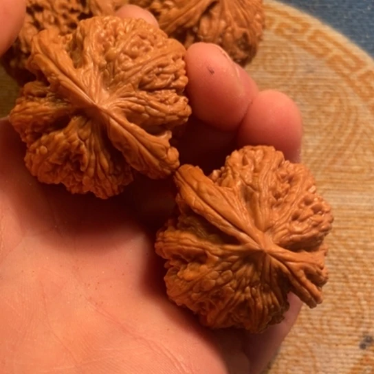 吊坠桃核全品粗筋41