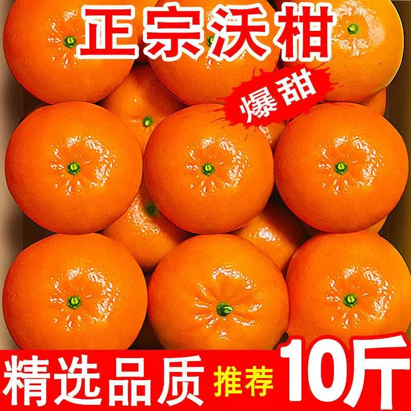 DM【实惠好吃】正宗云南沃柑新鲜现摘现发云南桔子超甜整箱10斤包邮