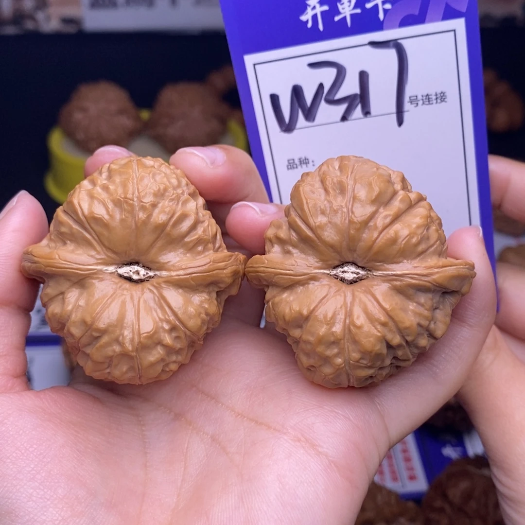 W***：文玩核桃吊坠W317链接 南瓜墩44尺