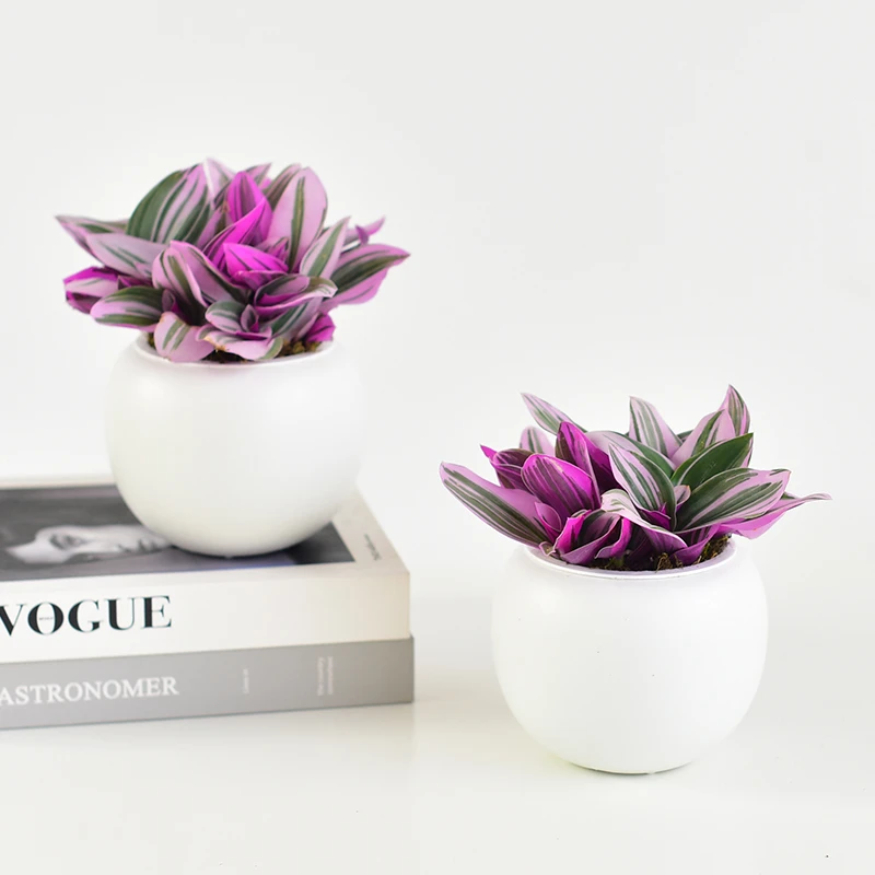 油画婚礼盆栽四季绿色好养粉叶植物吊兰办公室内桌面花卉紫色阳台