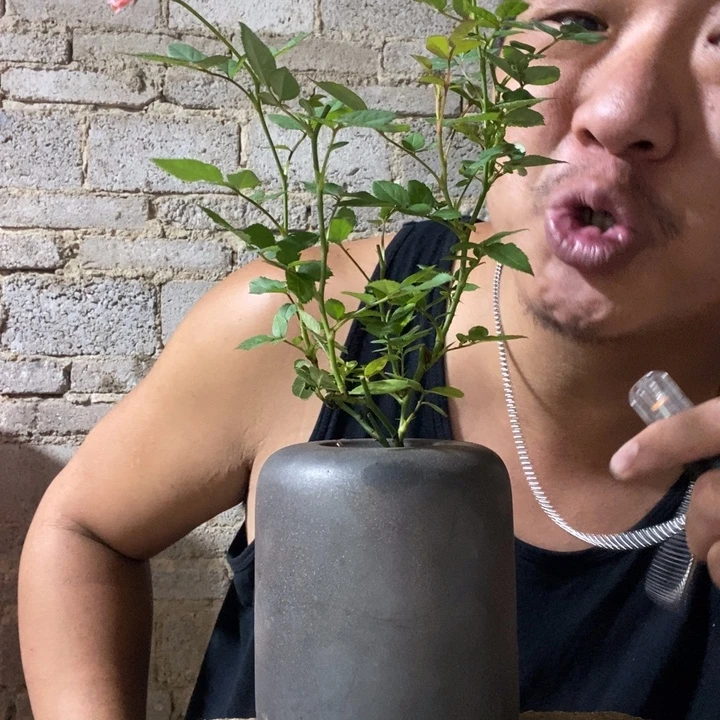 完全开放退款拉黑一物一拍210