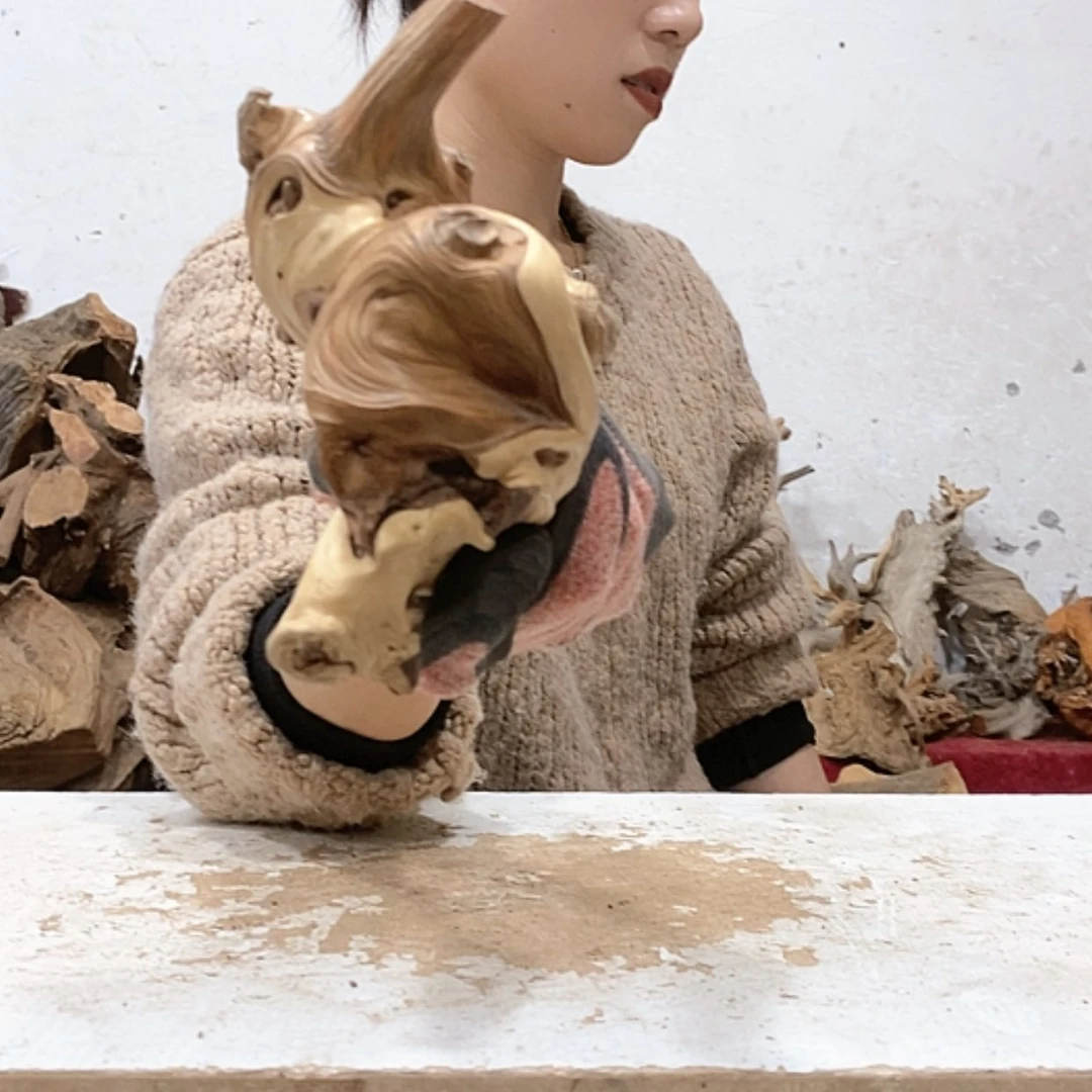 【闪购商品】柏木上*站我们都是好孩子