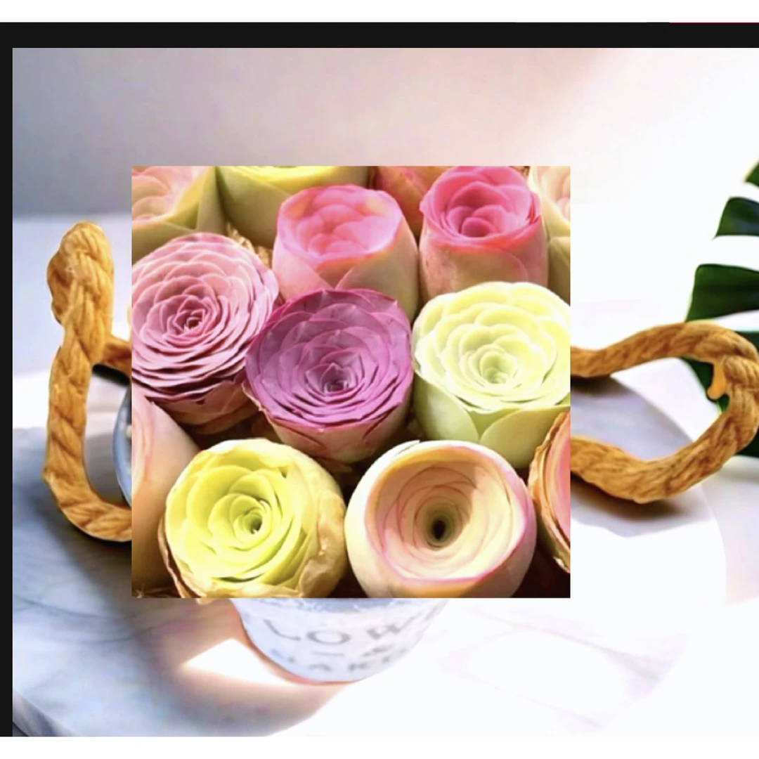 【满19.9包邮】新手福利【混搭3颗装】山地玫瑰多肉植物