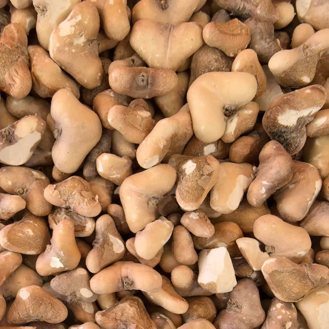 白洋淀特产菱角米好吃500g/袋