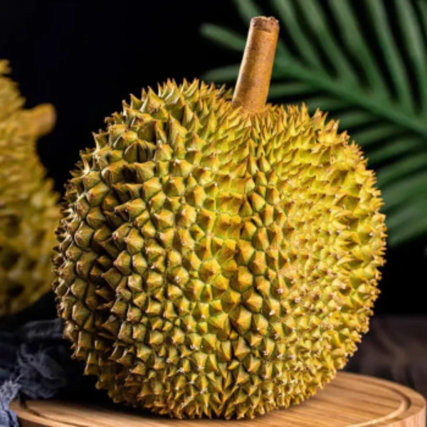 2号特价无售后煲汤榴莲肉【脆包偏硬/夹生/湿包/偏熟微苦】新鲜金枕核小榴莲整果KG现开【佛山禅城店】金枕泰国