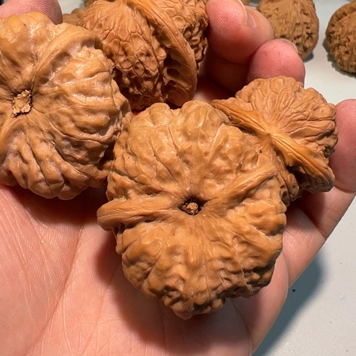 起***伏文玩核桃把件蛤蟆头和血麒麟