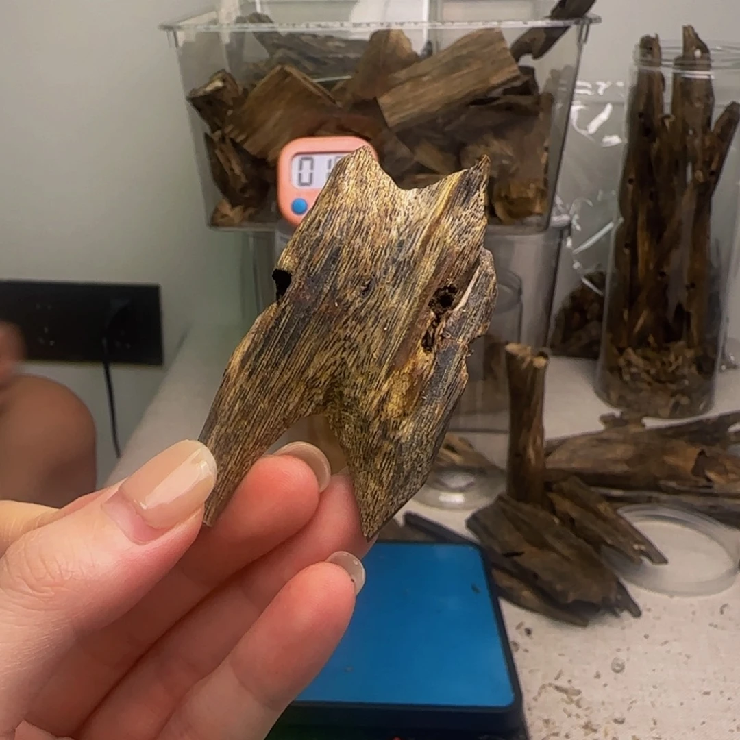 何***真沉香沉香碎屑海南白棋 100