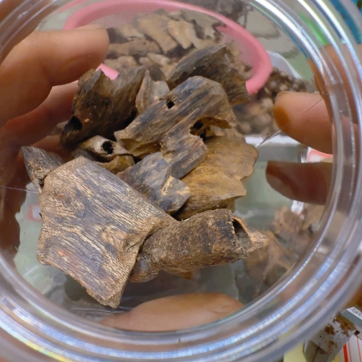 醉***古沉香碎屑沉香海南红骨凹身块料