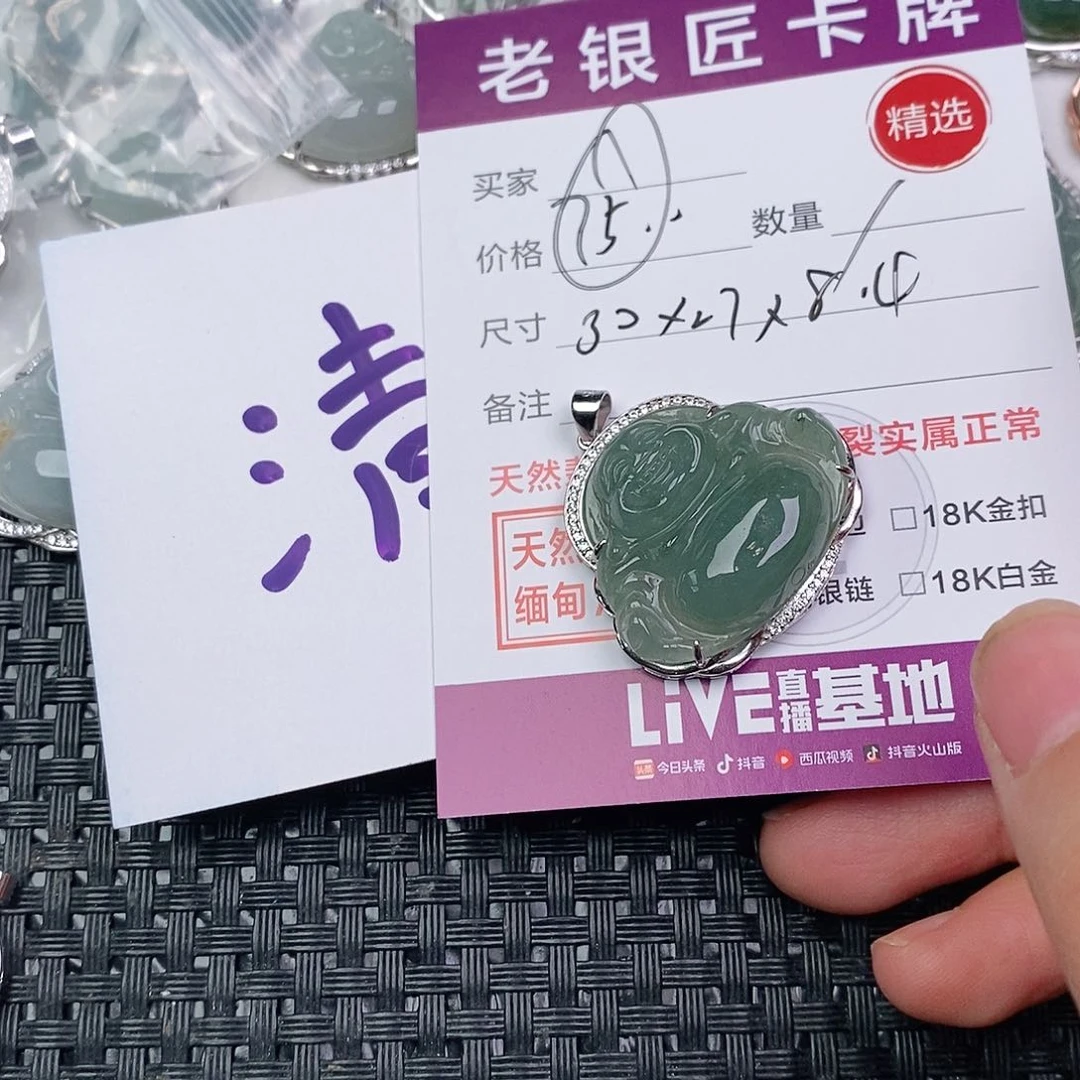 翡翠银S925镶嵌颈饰