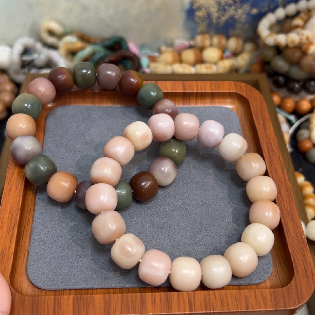 吊坠菩提根/象牙果竹桃卡14