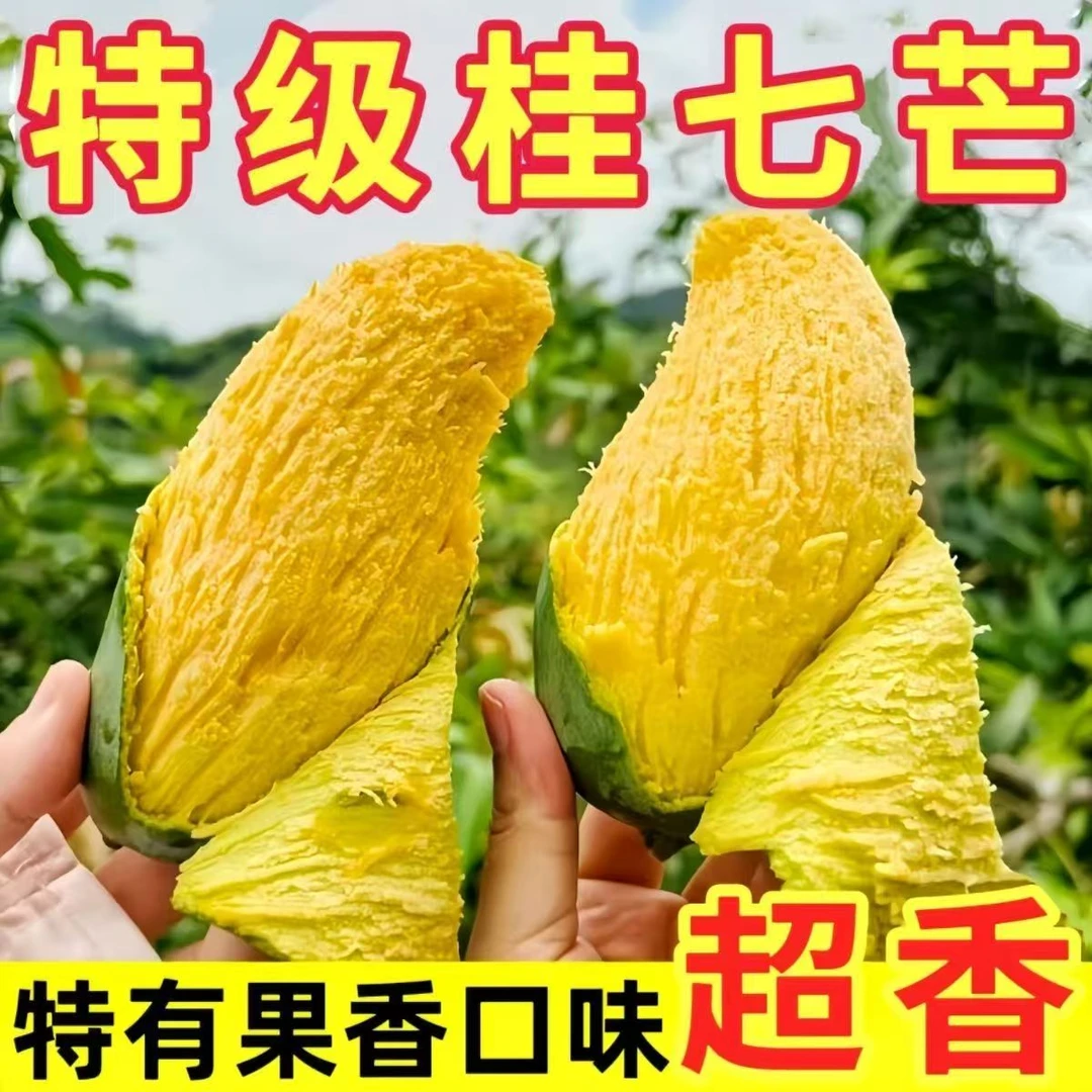 【桂七大果】广西桂七芒果.特大精品果.农户发货.一手货源.包邮