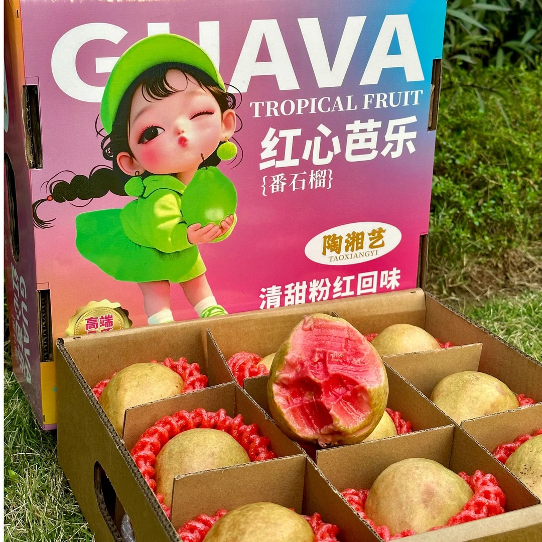 陶湘艺红心芭乐白心番石榴软糯香甜芭乐礼盒装9个