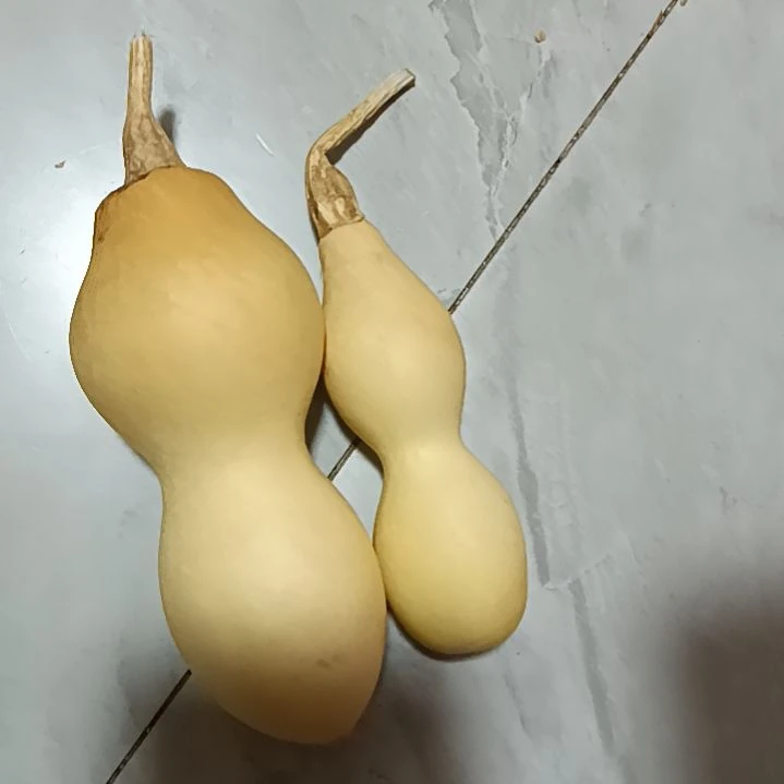 m*v过来葫芦好看葫芦好看葫芦好看