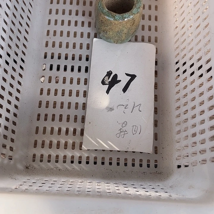 小**Q47密密麻麻买买买呢