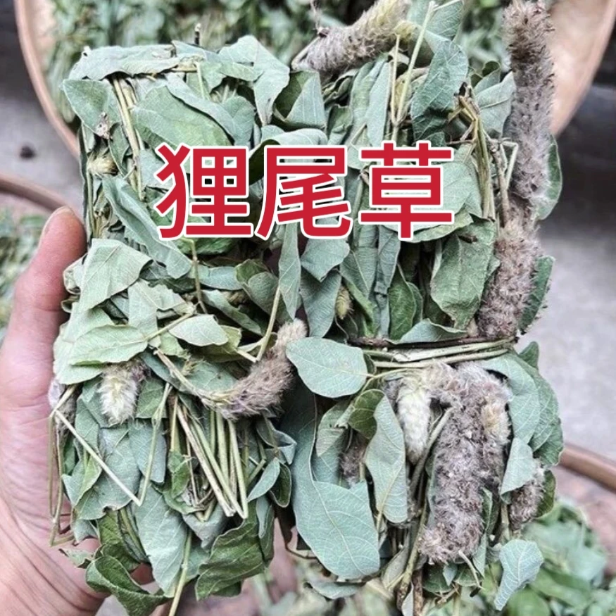 【狸尾草】贵州山货狸尾草