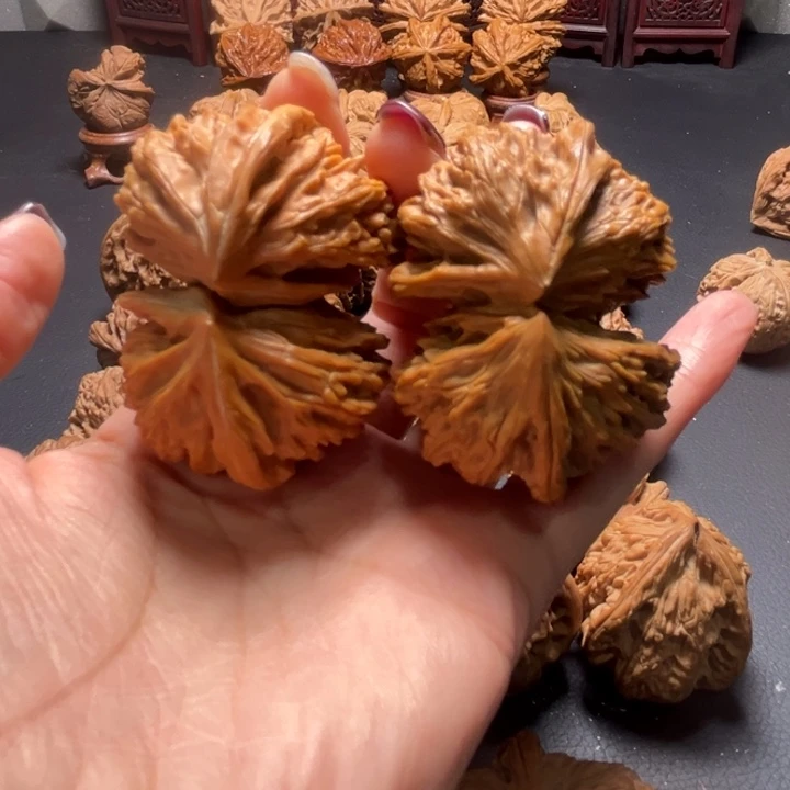 白狮子连体51尺寸核桃哈哈哈哈哈