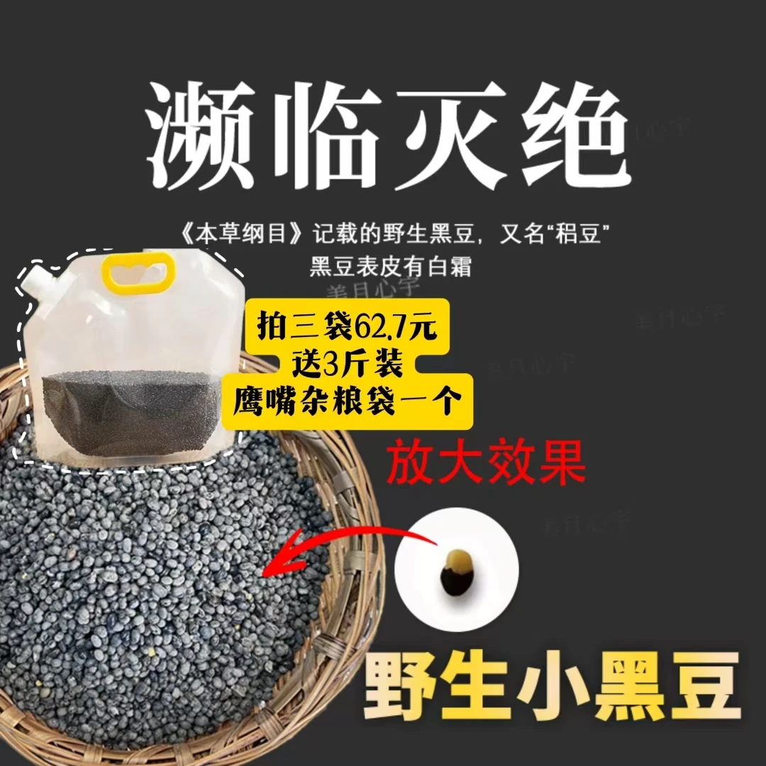 野生小黑豆肾之谷黑龙江野生古老品种人工采收煮茶打豆浆醋泡黑豆
