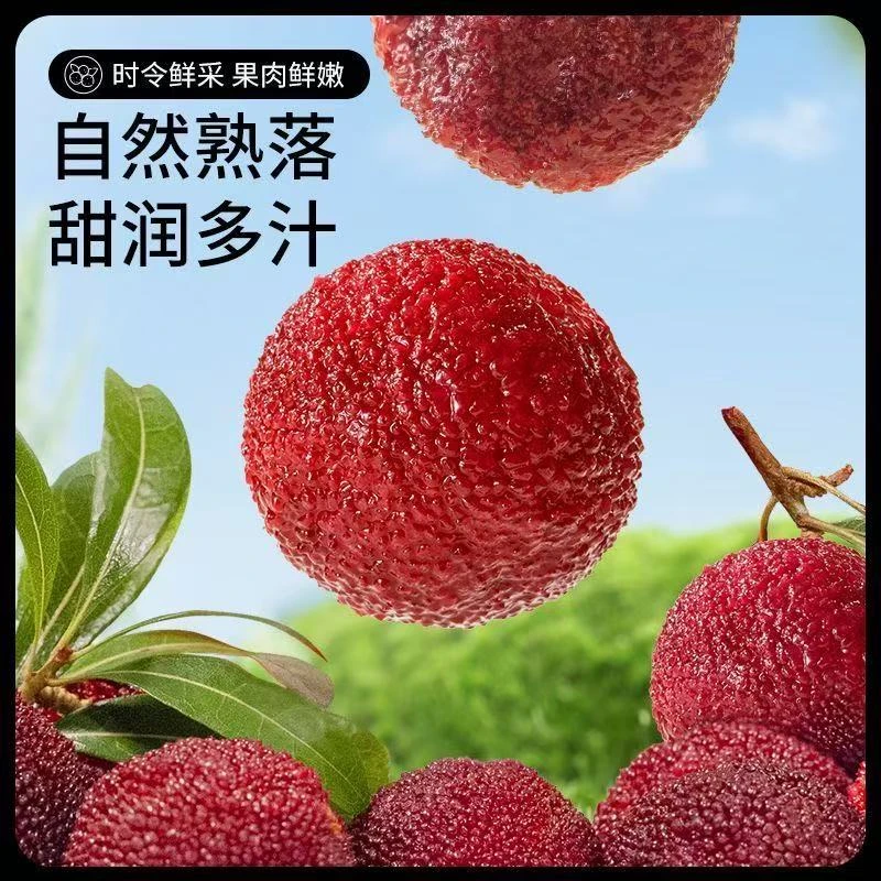 福建漳州浮宫新鲜头批原味杨梅干2025新鲜头批原味杨梅干