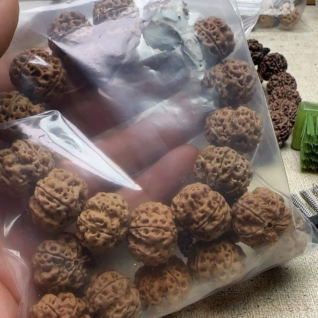 橙***爸金刚菩提手串1原生态苏阳一号