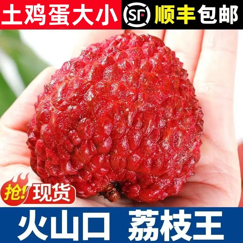 【陈书记专属】海南火山口荔枝王1-4.5斤当季新鲜多仓发货顺丰冷链