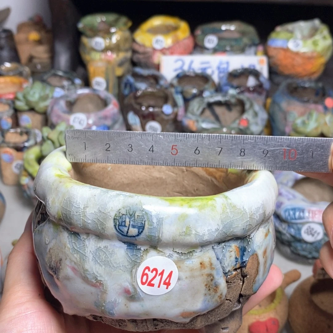 拍3送一个小礼物