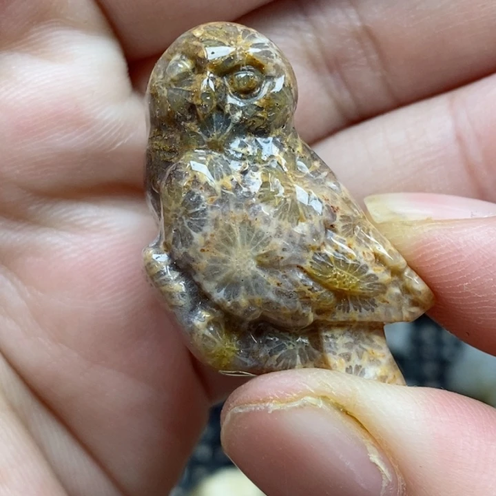 硅化珊瑚（珊瑚玉）未镶嵌颈饰小