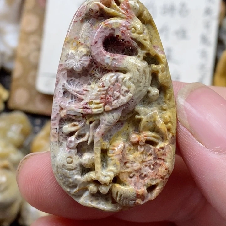 颈饰未镶嵌硅化珊瑚（珊瑚玉）小