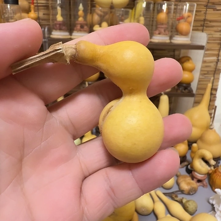 @***ﻩ侧脐葫芦闪拍链接葫芦