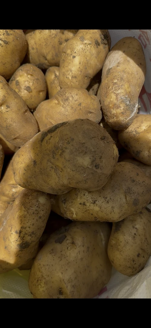 云南昭通高山黄心米拉土豆