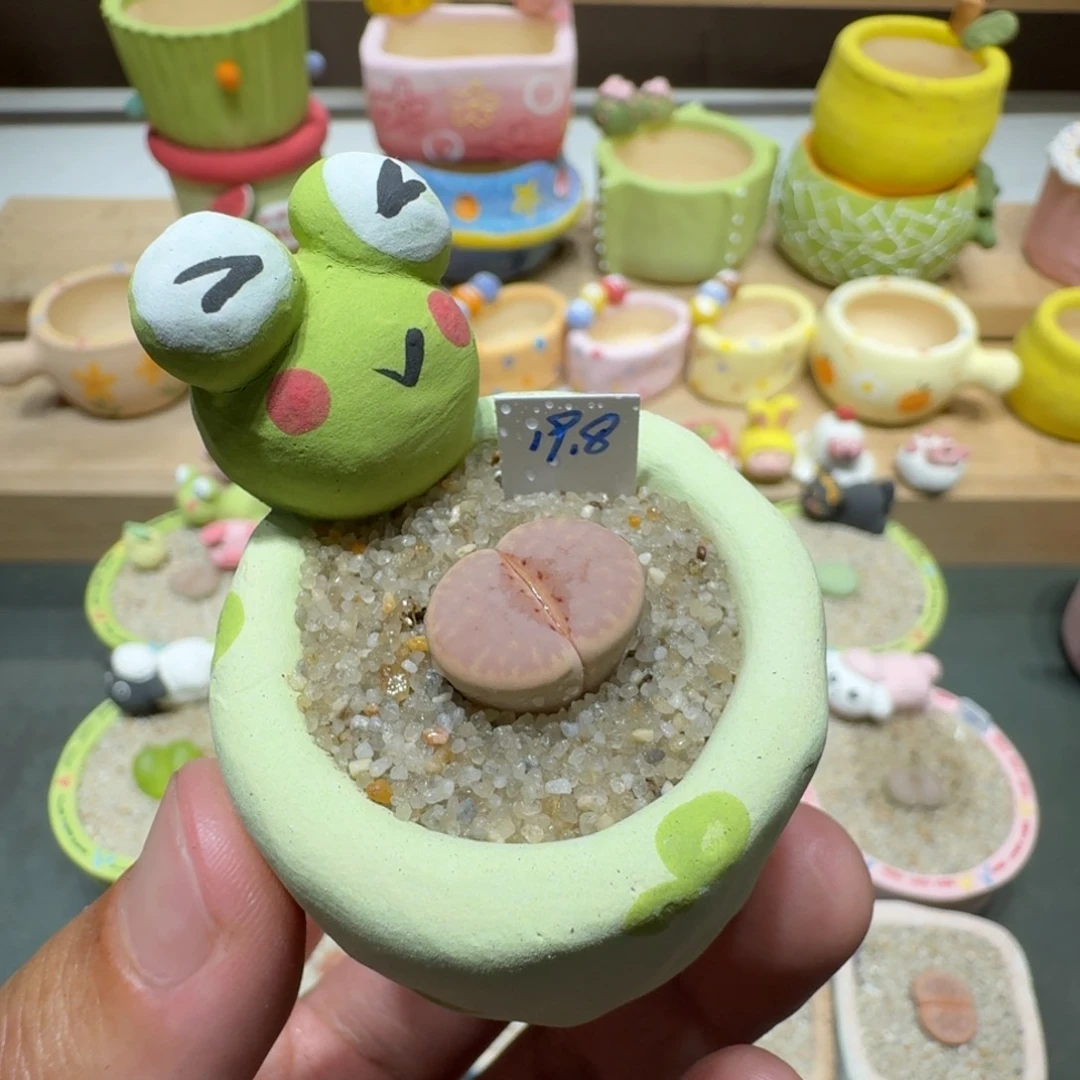 蘑菇210热唇热唇